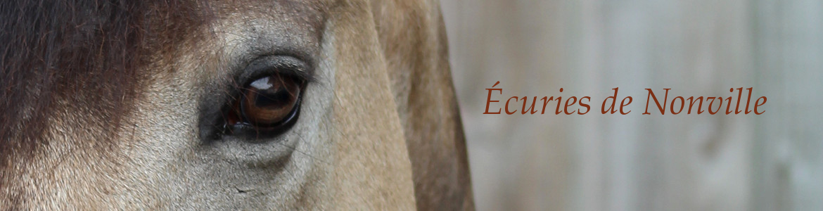Écuries de Nonville